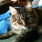 Profile Picture of David Malmberg (@malmbergdavid) on Instagram