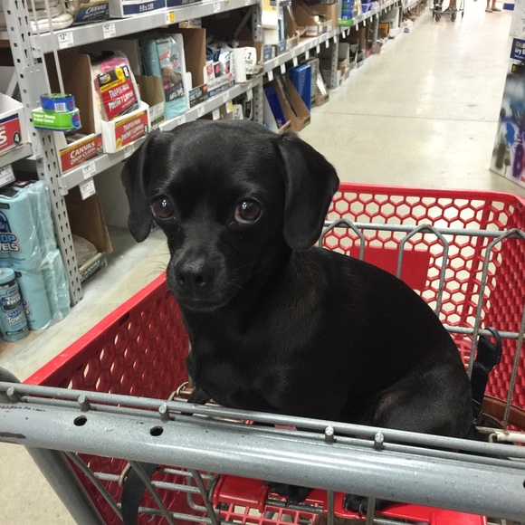 Profile Picture of Dawn Mclane (@wasabi2015) on Poshmark