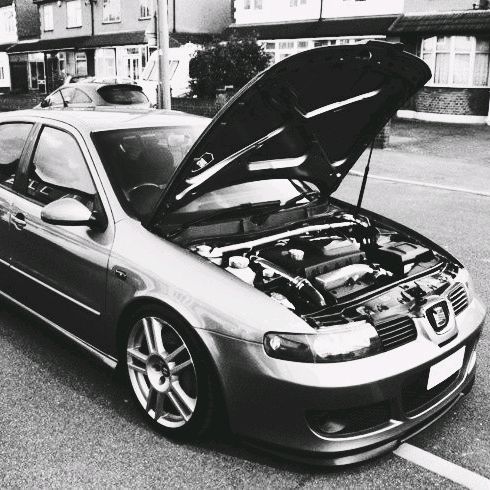 Profile Picture of Cupra R (@codymoraz) on Tiktok