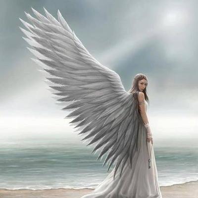 Profile Picture of Pamela Cooper (@pamelacooper592) on Twitter