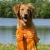 Profile Picture of Jeff Enlow (@jeff.enlow.90226) on Facebook