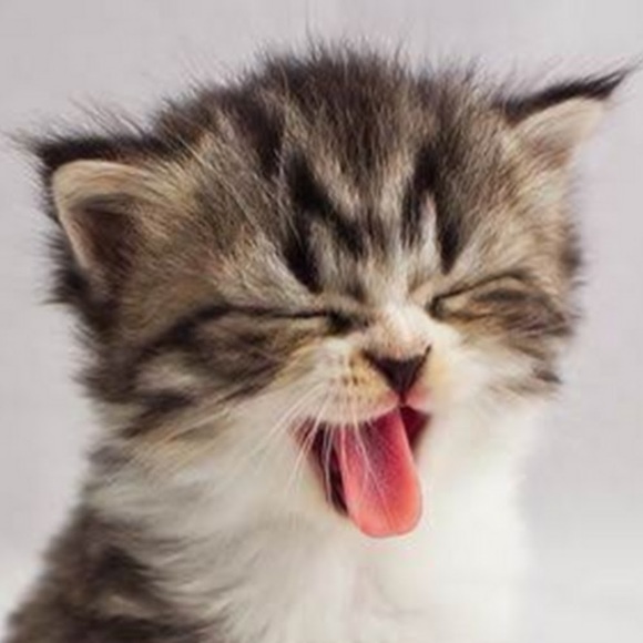 Profile Picture of Riley Prochniak (@rileyprochniak) on Poshmark