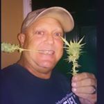 Profile Picture of Robb Wyer (@catstallker) on Instagram