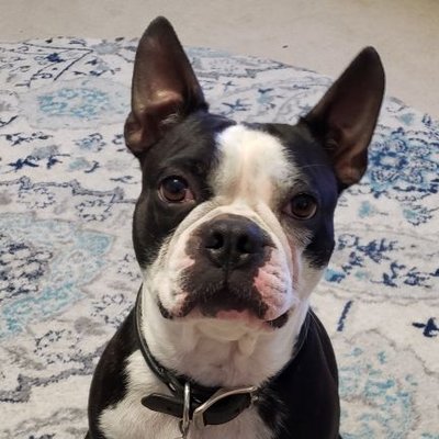 Profile Picture of Shawn Hamill (@ShawnHamill4) on Twitter