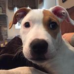 Profile Picture of Jeanine Wallace (@jeaninewallace_) on Instagram