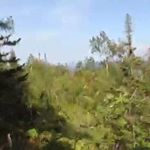 Profile Picture of romack (@may3.hal) on Instagram