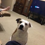 Profile Picture of Linda Treece (@lindatreece) on Instagram
