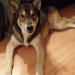 William Austin Kieser - Instagram Profile Picture of William Austin Kieser (@itz.austin_kieser) on Instagram