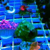 Profile Picture of Kevin Kamphuis (@kevinkamphuis4154) on Youtube