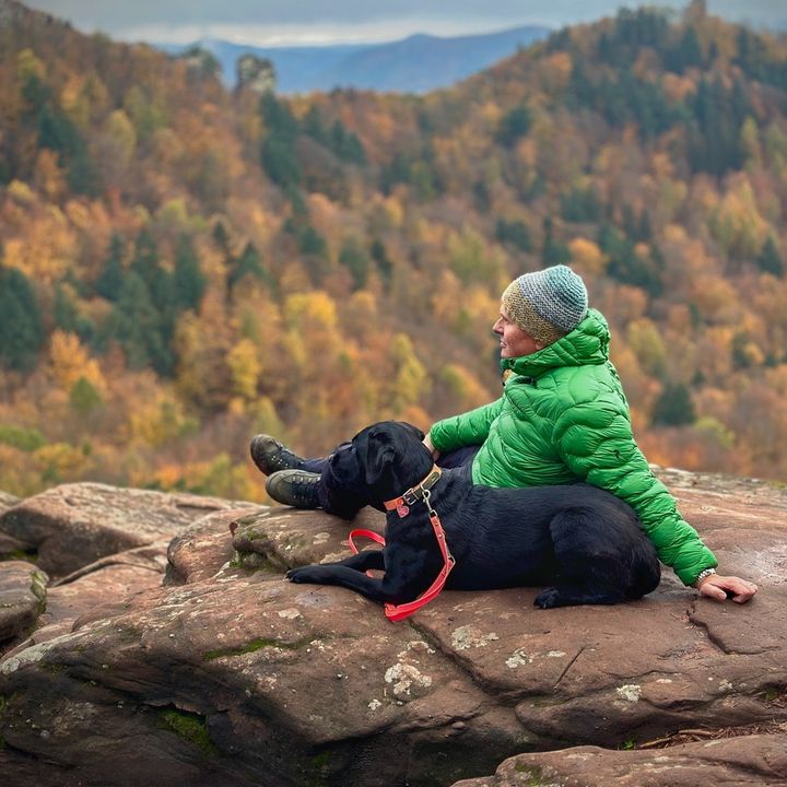 Profile Picture of Robert Freytag (@robert.freytag) on Tiktok