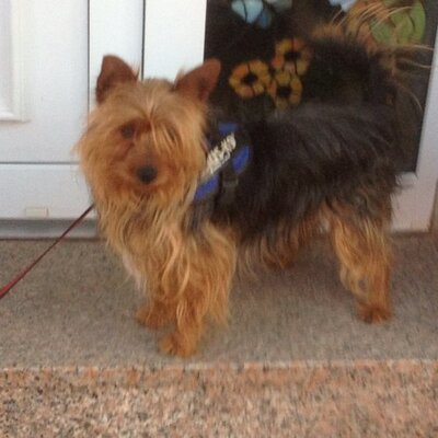 Profile Picture of Lett Charles (@@charles_lett) on Twitter