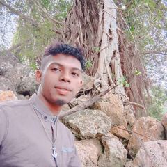 Profile Picture of robertmalaly1 (@robertmalaly1) on Tiktok