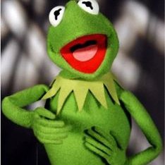 Profile Picture of Kermit The Frog (@carolinekidd18) on Twitter