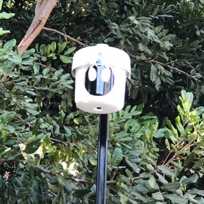 Profile Picture of John Beachy (@beachy80211) on Twitter