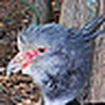 Profile Picture of Jared Davis (@jaredd1968) on Flickr