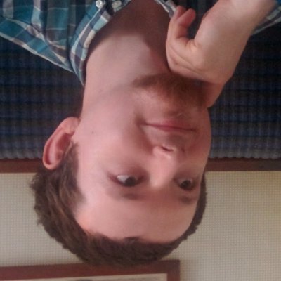 Profile Picture of Nathan Adams (@Dinnerbone) on Twitter