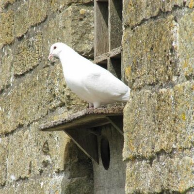 Sue - Twitter Profile Picture of Sue (@CCTSueKHA) on Twitter