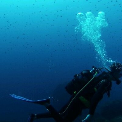 Profile Picture of Marc Marí Sampol (@marcmarisampol) on Twitter