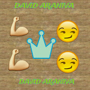 Profile Picture of David Araniva (@davidaraniva6448) on Youtube