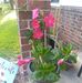 Profile Picture of Sherry Bearden (@sherry.bearden.58) on Facebook