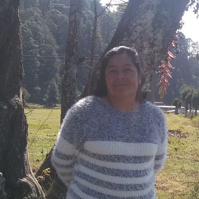 Profile Picture of Alma Delia Ocaña Luján (@AlmaDeliaOcaaL1) on Twitter