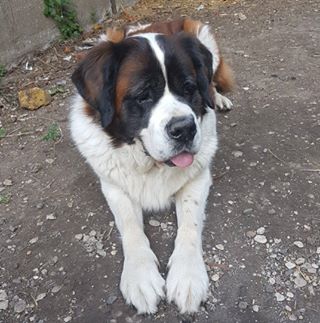 Profile Picture of JeanClaude Aubert (@jeanclaude.aubert.568632) on Facebook