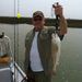 Profile Picture of Jimmy willard (@jimmywillard1234) on Pinterest