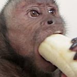 Profile Picture of taylorgoffin (@tayloragoffin) on Instagram