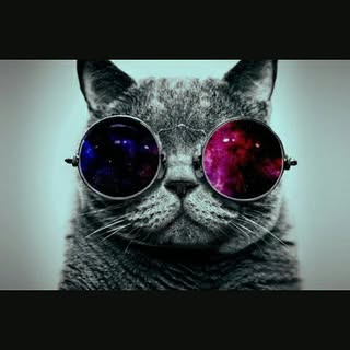 Profile Picture of eli becerra retamal (@elibecerra_) on Instagram