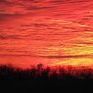 Profile Picture of Kelly Hildebrandt (@busdrvr65) on Pinterest