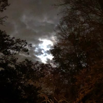 Profile Picture of Sean McAndrews (@WVSTATEU_NCAA) on Twitter