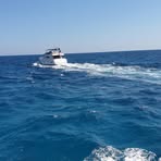 Profile Picture of Steve Smart (@Steve-Smart) on Facebook