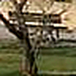 Profile Picture of sandra gil (@sandra.gil11) on Flickr