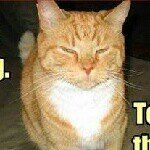 Profile Picture of Miranda Griffith (@mirandasonline) on Instagram