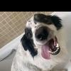 Profile Picture of Lee Swift (@@007swifty007) on Tiktok