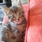 Profile Picture of Shirley Gillespie (@shirley.newton.7946) on Instagram