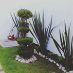 Profile Picture of MANUEL PARAMO (@manuelparamolopez) on Instagram