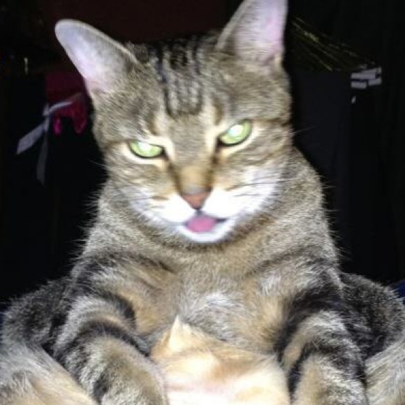 Profile Picture of Sarah Pietrobono (@sarahpie98) on Poshmark