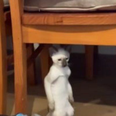 Profile Picture of chriswagnon18 (@chriswagnon18) on Tiktok