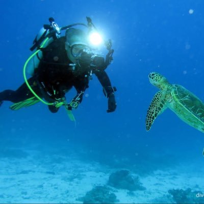 Profile Picture of Chas Horton (@chastity7386) on Twitter