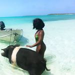 Profile Picture of Amanda   S. (@amandakayye) on Instagram