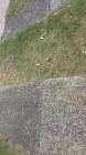 Profile Picture of   👿Daniel👿(@daniel.grainger... (@daniel.grainger.11) on Tiktok
