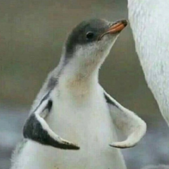 Profile Picture of Mia Purdom (@miapolkadot) on Poshmark