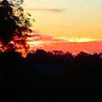 Hannah Dickenson - Instagram Profile Picture of Hannah Dickenson (@dickensonhannah) on Instagram