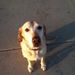 Profile Picture of Dave Renfro (@vbdave26) on Pinterest