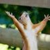 Profile Picture of Peter Straub (@peter.straub.3323) on Facebook