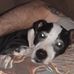 Profile Picture of James Hanmertime Hanmer (@james.hanmer.5) on Facebook
