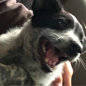 Profile Picture of Jason Barker (@jasonbarker1154) on Youtube