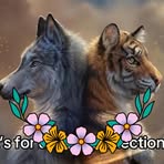 Profile Picture of Lauren Hess (@Lauren-Hess) on Facebook