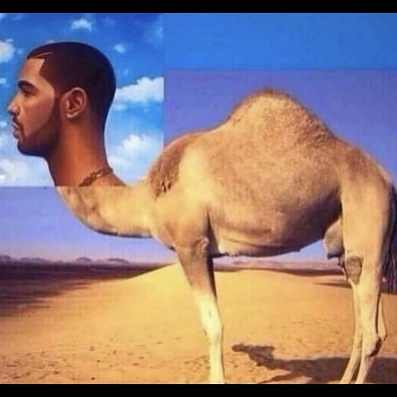 Profile Picture of Donnie Teuber (@donnie_teuber91) on Poshmark